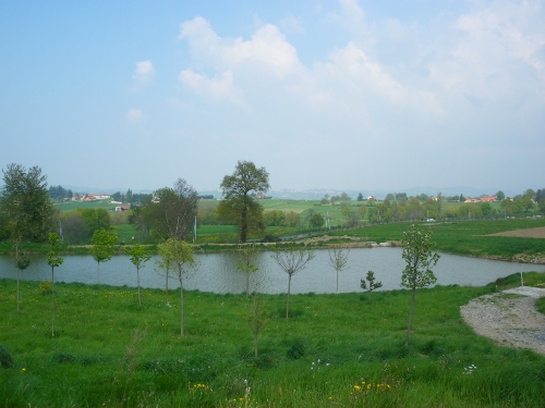 20110722-Etangs-Ardechois-Verdure