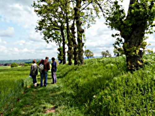 20111005-14e-Randonnee-Forez-Lyonnais