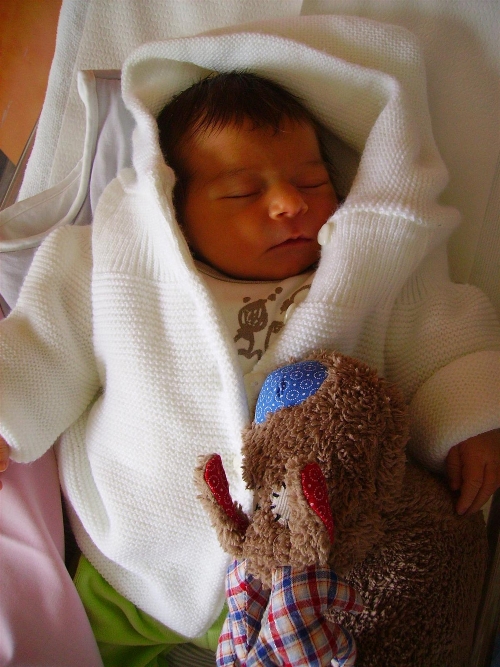 20120215-Carnet-Rose-Lois-Sacha-Delorme
