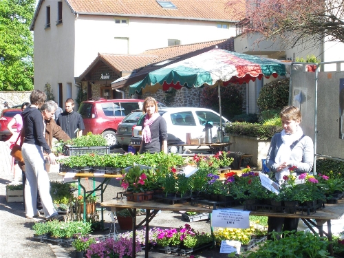 20120508-Comite-Animation-Vente-Plants-Fleurs-Legumes