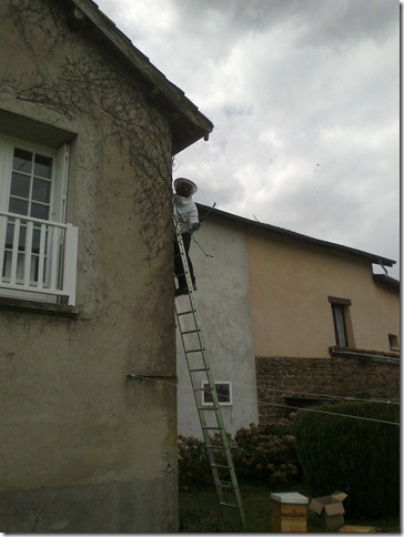 20120522-Matthieu-Recuperation-Assaims-Abeilles