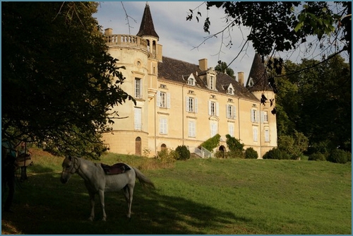 20140412-Chateau-Saint-Medard-Chasse-Aux-oeufs-parc